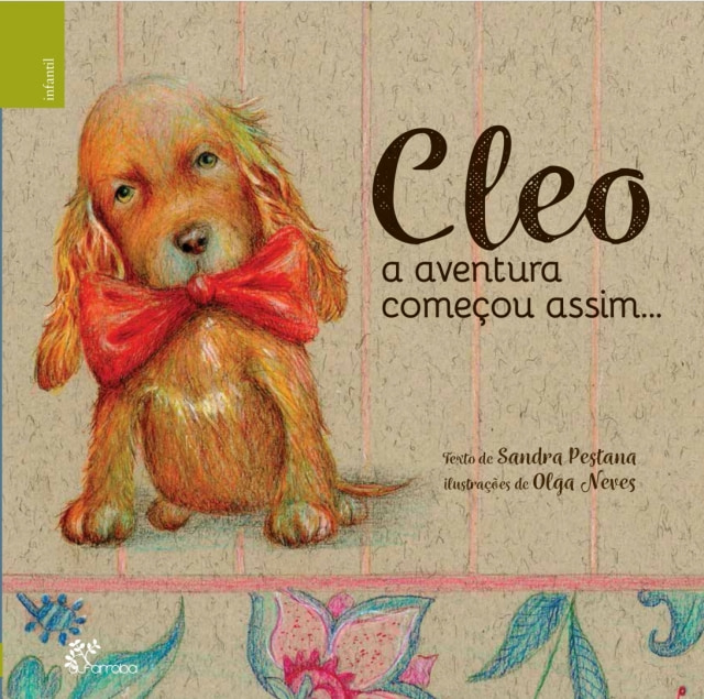 CLEO - a aventura começou assim